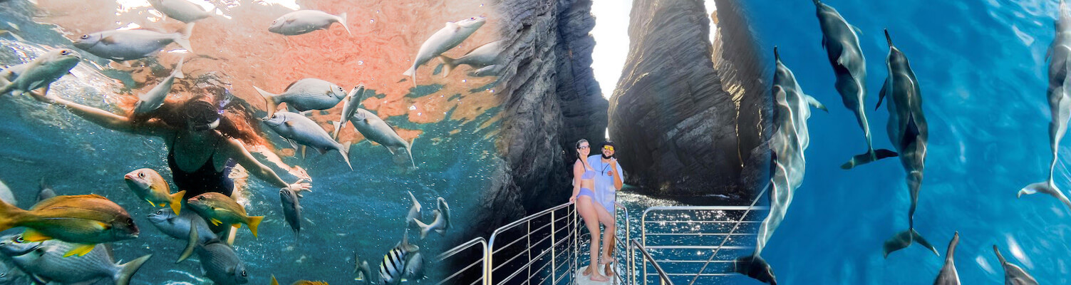 Blue Dolphin Charters - Deluxe Niihau Island Tour