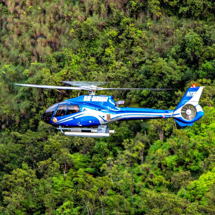 Blue hawaiian ECO Adventure