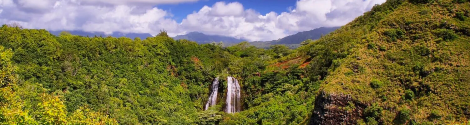 kauai-luaus
