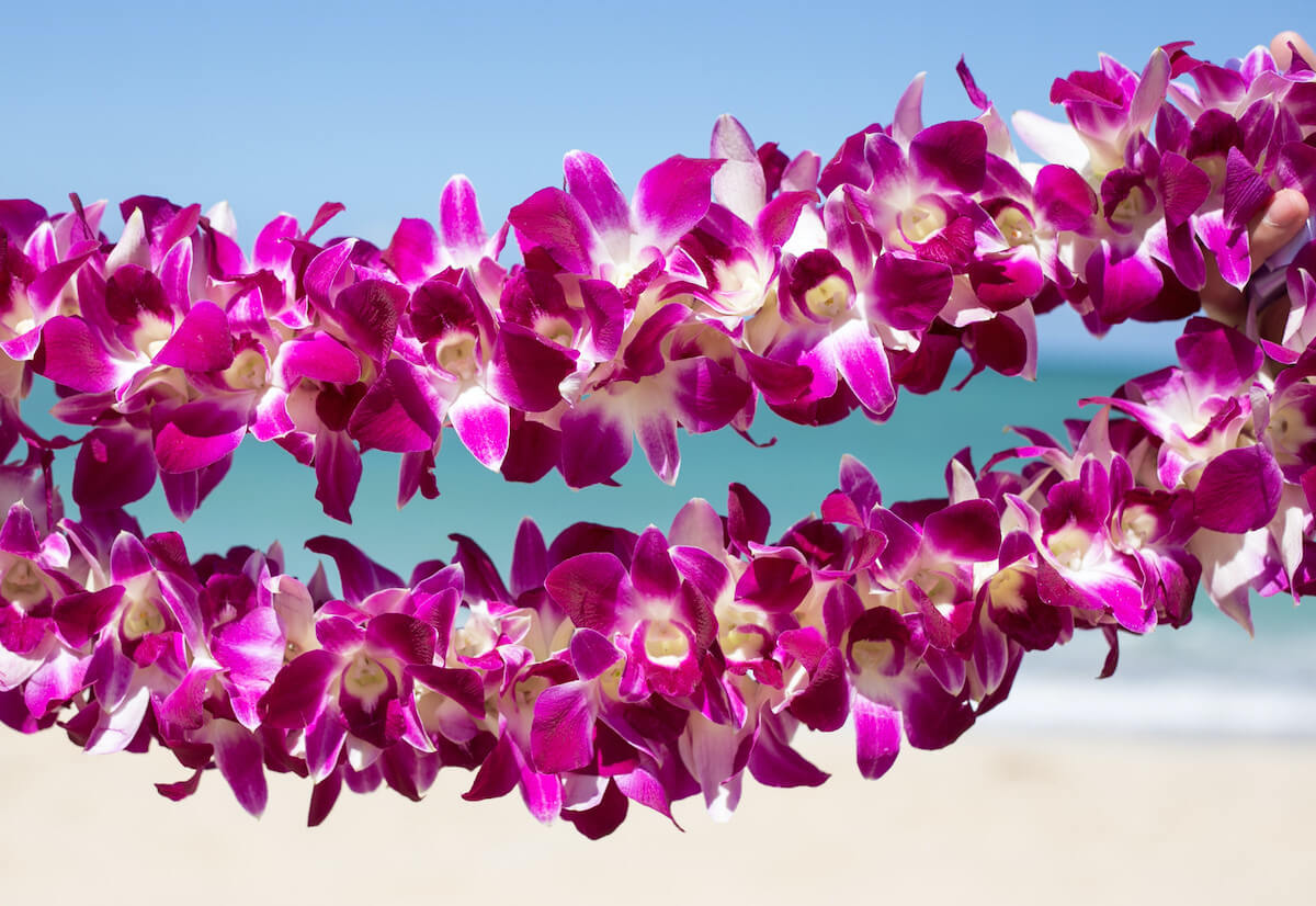 Kauai Leis
