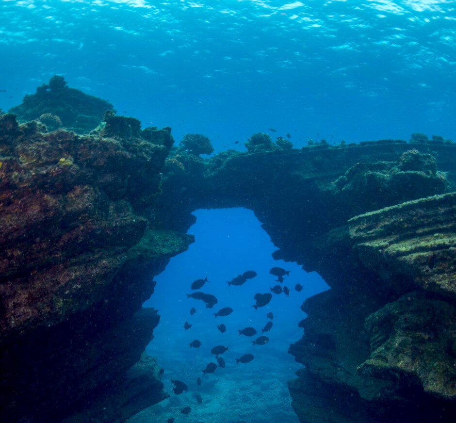 Seasport Divers - Dive Ni'ihau - Kauai Discount