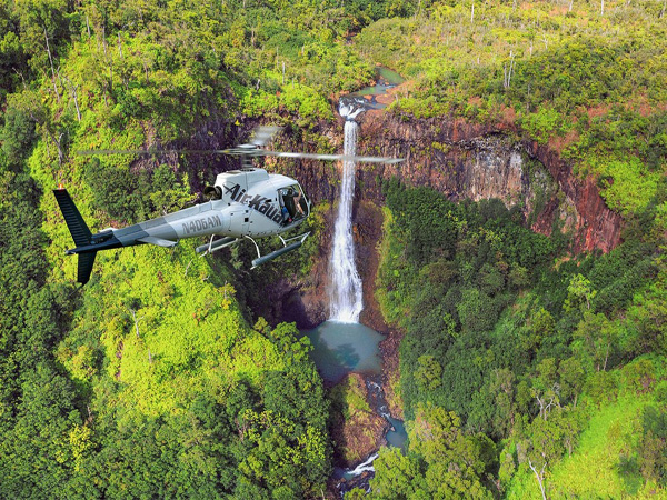 Kauai Helicopter Tour or Airplane Tour: Which Is Right for Your Island Views? 