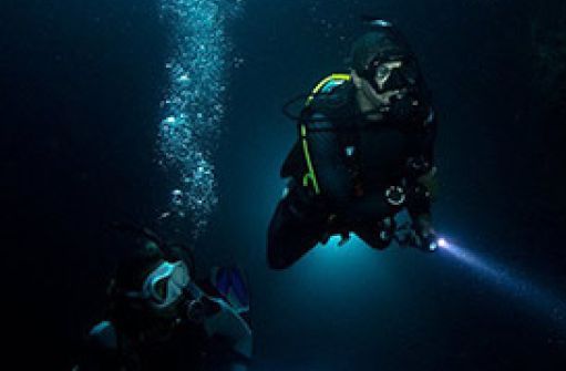 Seasport Divers - Twilight Night Dive - Kauai Discount
