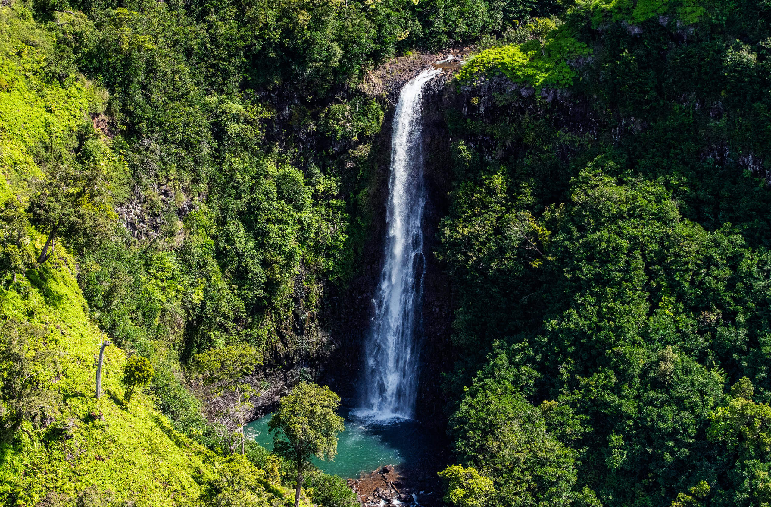 Blue Hawaiian Helicopters - Discover Kauai from Princeville