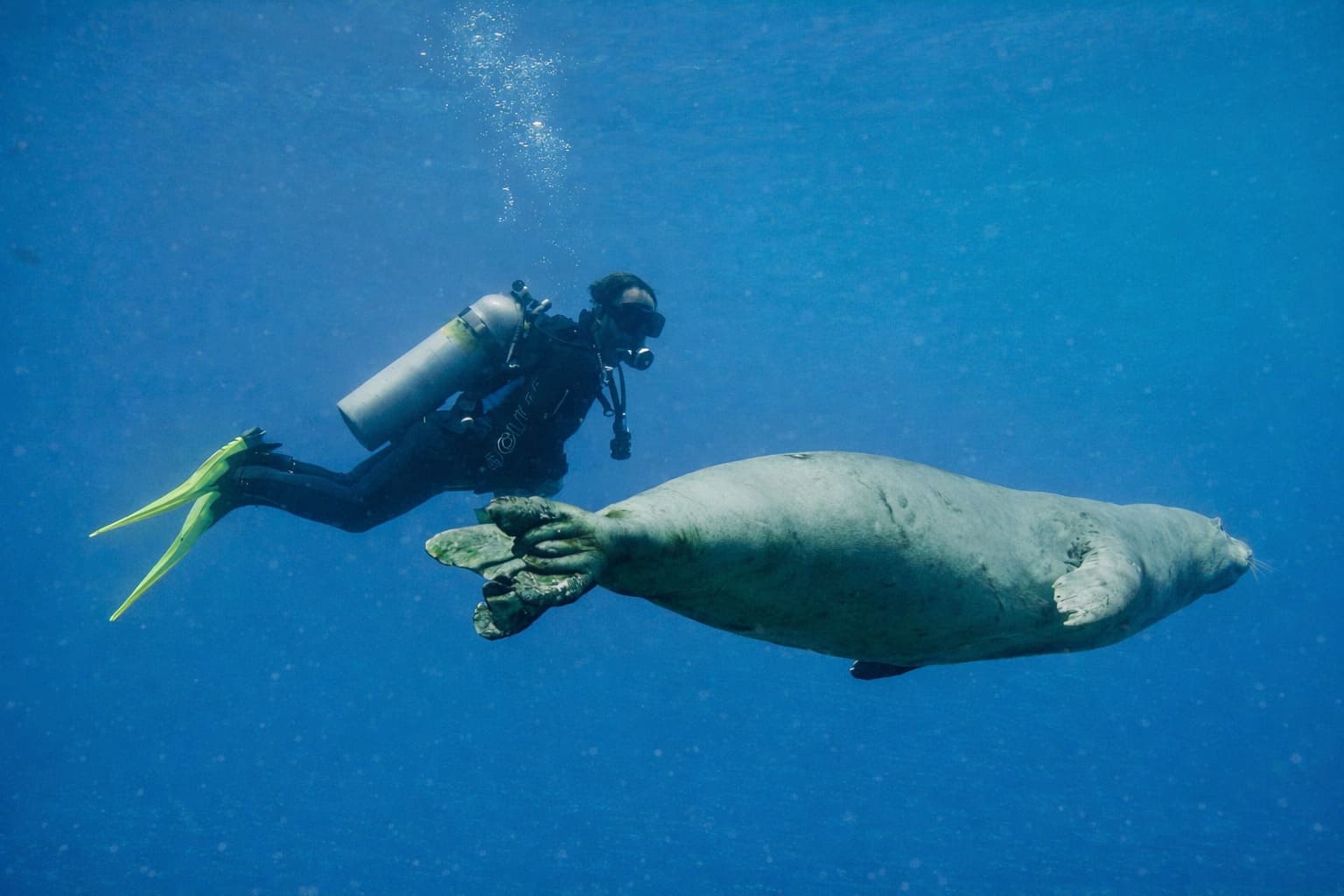 Kauai Scuba Diving Tours