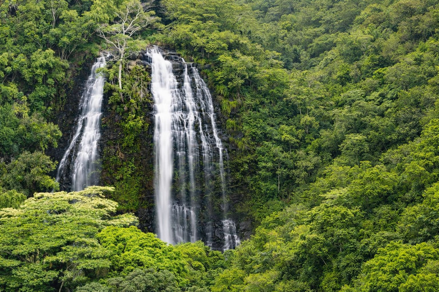 Kauai Land Tours