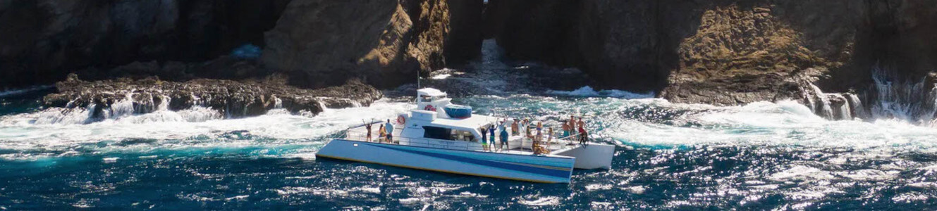 niihau and napali coast snorkel tour