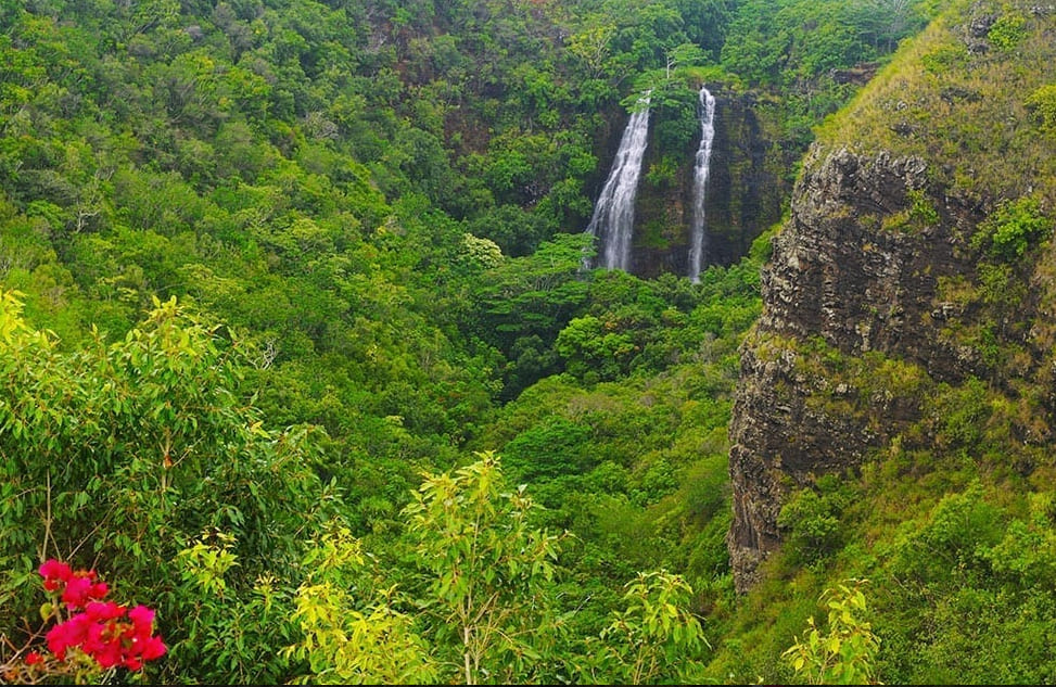 Polynesian Adventure Tours - Kauai Highlights & Movie Sites