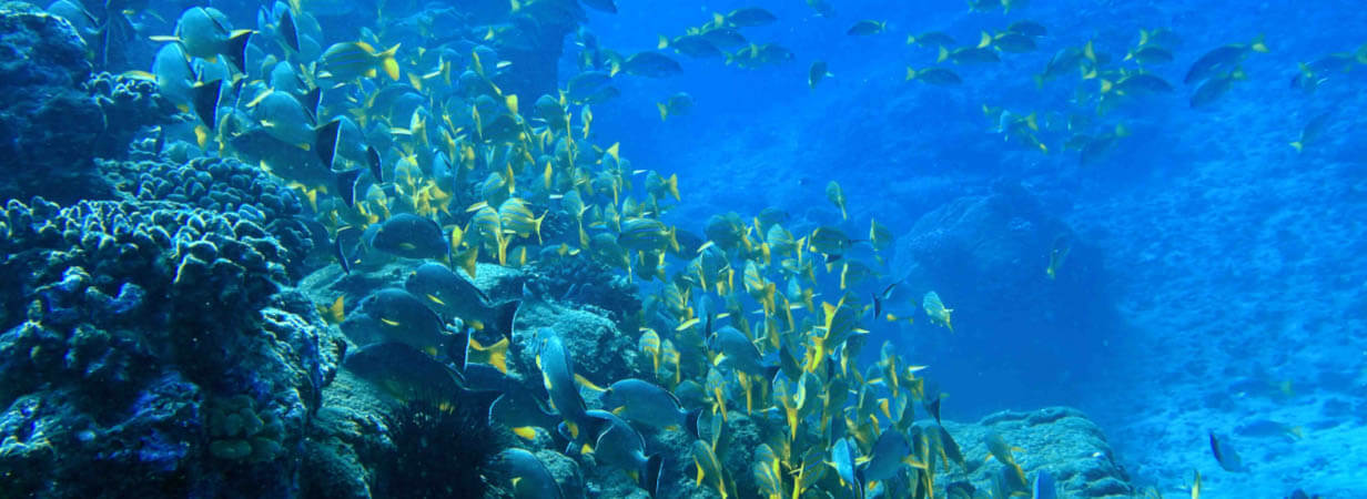 seasport divers 3 tank scuba dive