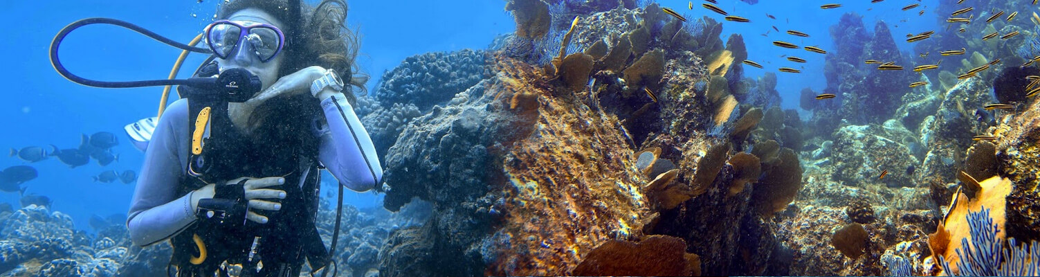 seasports Two Tank Dive