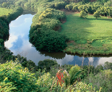 kauai-luaus
