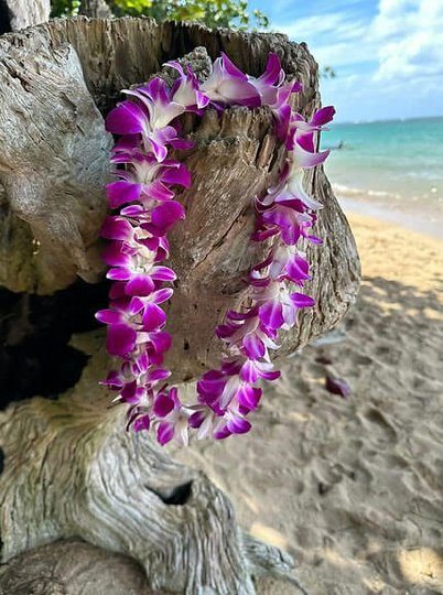Kauai lei greeting at the airport